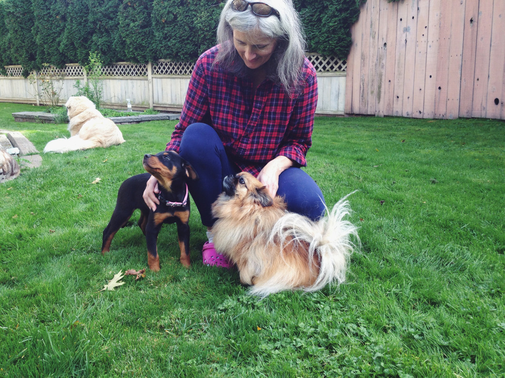 A photo of Betsy meeting my mom and her dogs