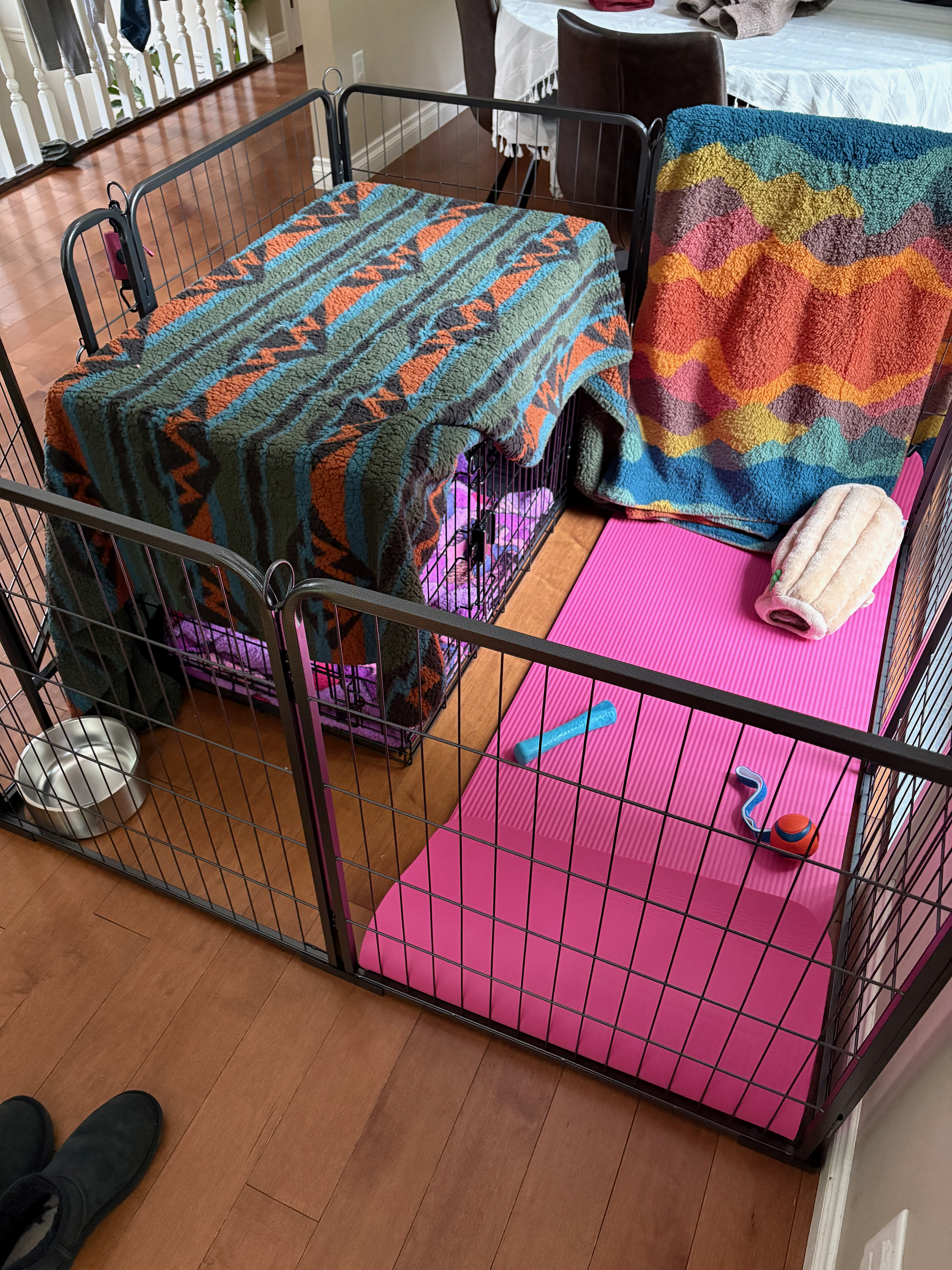 A photo of a puppy setup: Dog crate, x pen, yoga mat, toys